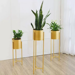 Nestique Set of 3 Plant Stand Rack for Indoor & Outdoor Pots - Golden