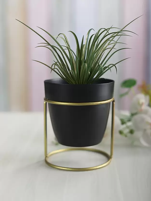 Nestique Black oval metal desk planter with stand(WITHOUT PLANT) Plant Container