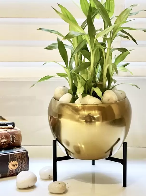 Nestique Metal Flower vase for Home Decor and Indoor Room Vintage Vase Filler