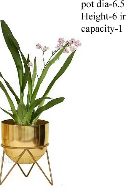 Nestique Impex flower pot Plant Container Set (Metal)